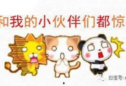 小蛙新世界爆料了吗视频,独家视频带你探秘幕后真相