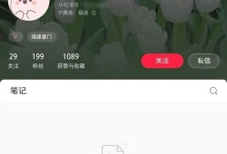 爆料吧视频完整版,事件真相与幕后黑幕深度解析