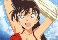 小兰姐姐爆料视频全集免费观看,揭秘幕后真相