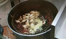 红油咸菜爆料视频大全,风味小吃背后的故事与制作技巧