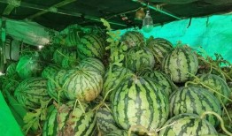 芜湖哪里可以免费吃瓜,寻味城市中的甜蜜惊喜
