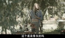 待绽蔷薇在线观看,揭开青春校园的浪漫序幕
