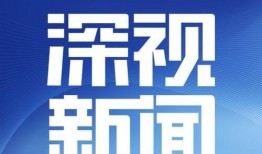 深圳张大哥最新爆料新闻,最新爆料新闻背后的真相