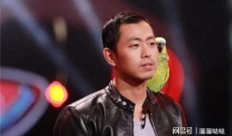 水哥爆料何猷君视频播放,水哥爆料视频背后的惊人真相