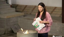 农村爆料大结局视频大全,揭秘视频背后的真相与启示