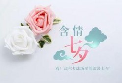 爆料七夕节教程视频,浪漫节日必备技能大公开