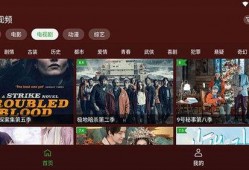 爆料明星八卦模板视频,明星私生活大曝光，独家爆料震惊众人！
