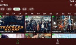 爆料明星八卦模板视频,明星私生活大曝光，独家爆料震惊众人！