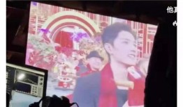 北京网红爆料视频最新,揭秘网红圈幕后真相！”