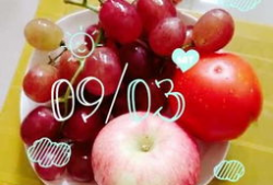 爆料提子视频下载安装免费