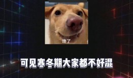 娱乐八卦爆料吃瓜