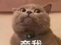 女生网红吃瓜表情包,女生们的欢乐源泉