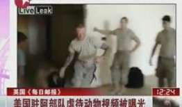 阿屯爆料视频,幕后真相大曝光