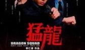 猛龙全集在线观看,热血激战，荣耀巅峰