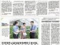河南法治爆料最新消息新闻,最新案件进展及社会影响深度解析