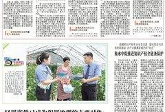 河南法治爆料最新消息新闻,最新案件进展及社会影响深度解析