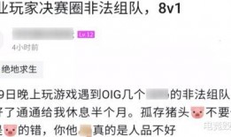 网友爆料新队伍视频大全,新队伍视频大全，精彩瞬间一网打尽！