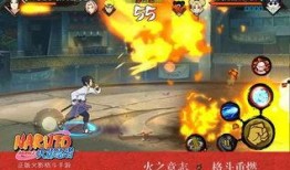 三位新春忍者爆料视频大全,视频大全背后的精彩故事
